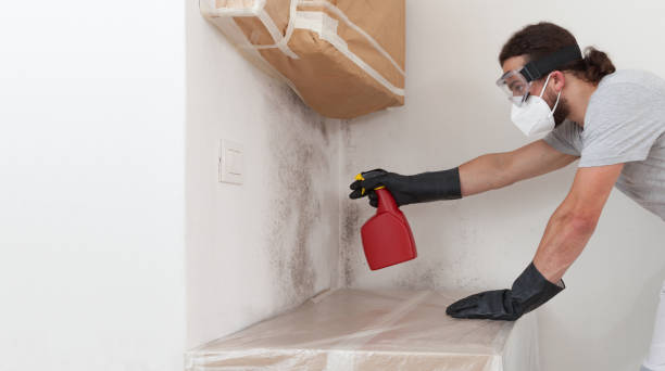 Professional Commercial Mold Remediation technician working in Fayville, MA